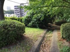 馬引沢第四緑地