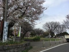 入江町公園