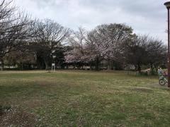 入江町公園