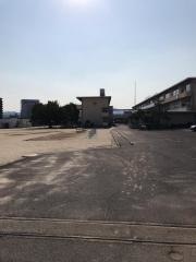 精華小学校