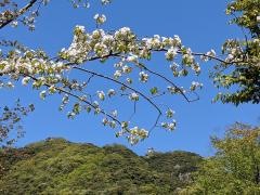 岩戸公園