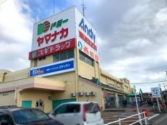 アンディ