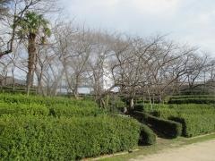 台場公園