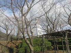 台場公園