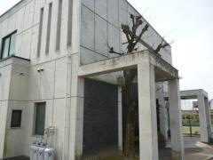池村皮フ科