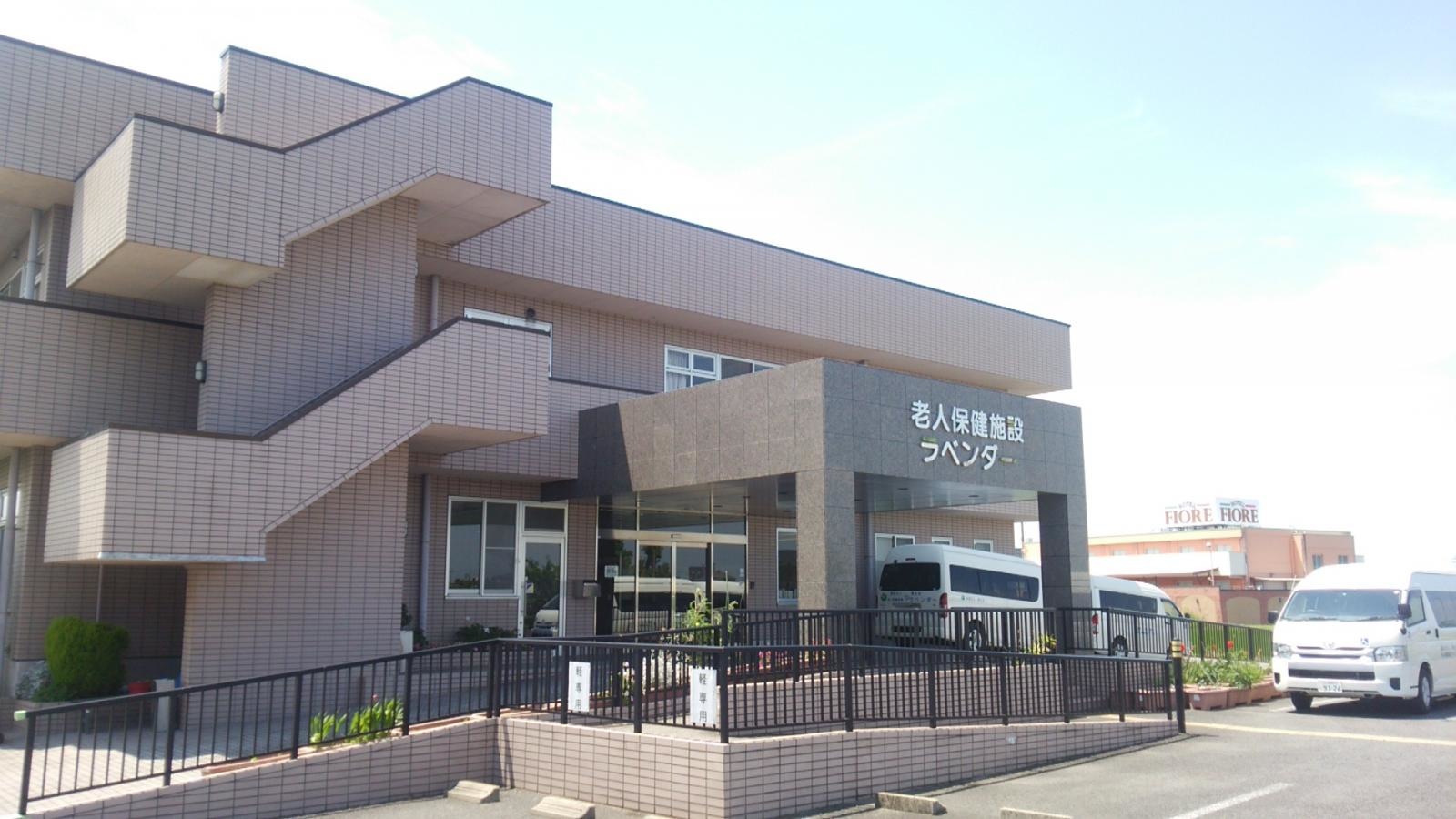 ラベンダー
