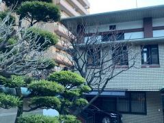 安楽寺