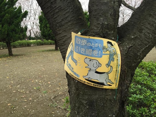 施設写真12