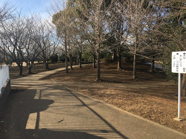 投稿写真7