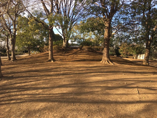投稿写真6