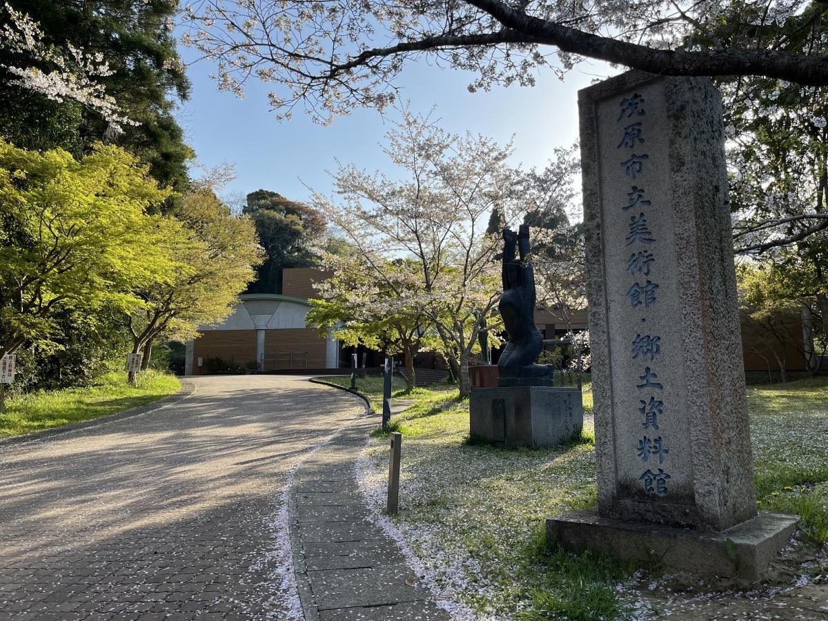 茂原市立美術館・郷土資料館です。