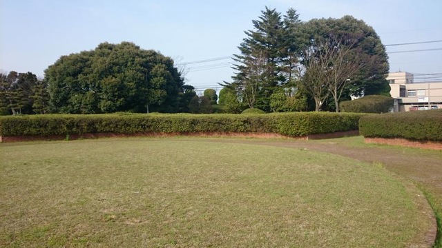 投稿写真4