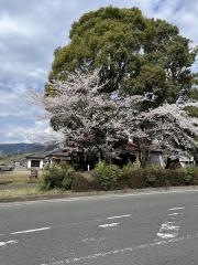 八幡神社