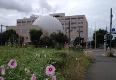 川口市立科学館