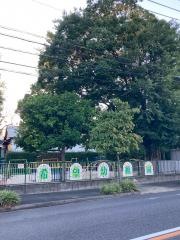 希望幼稚園