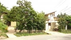 あおぞら保育園