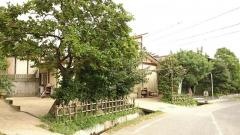 あおぞら保育園