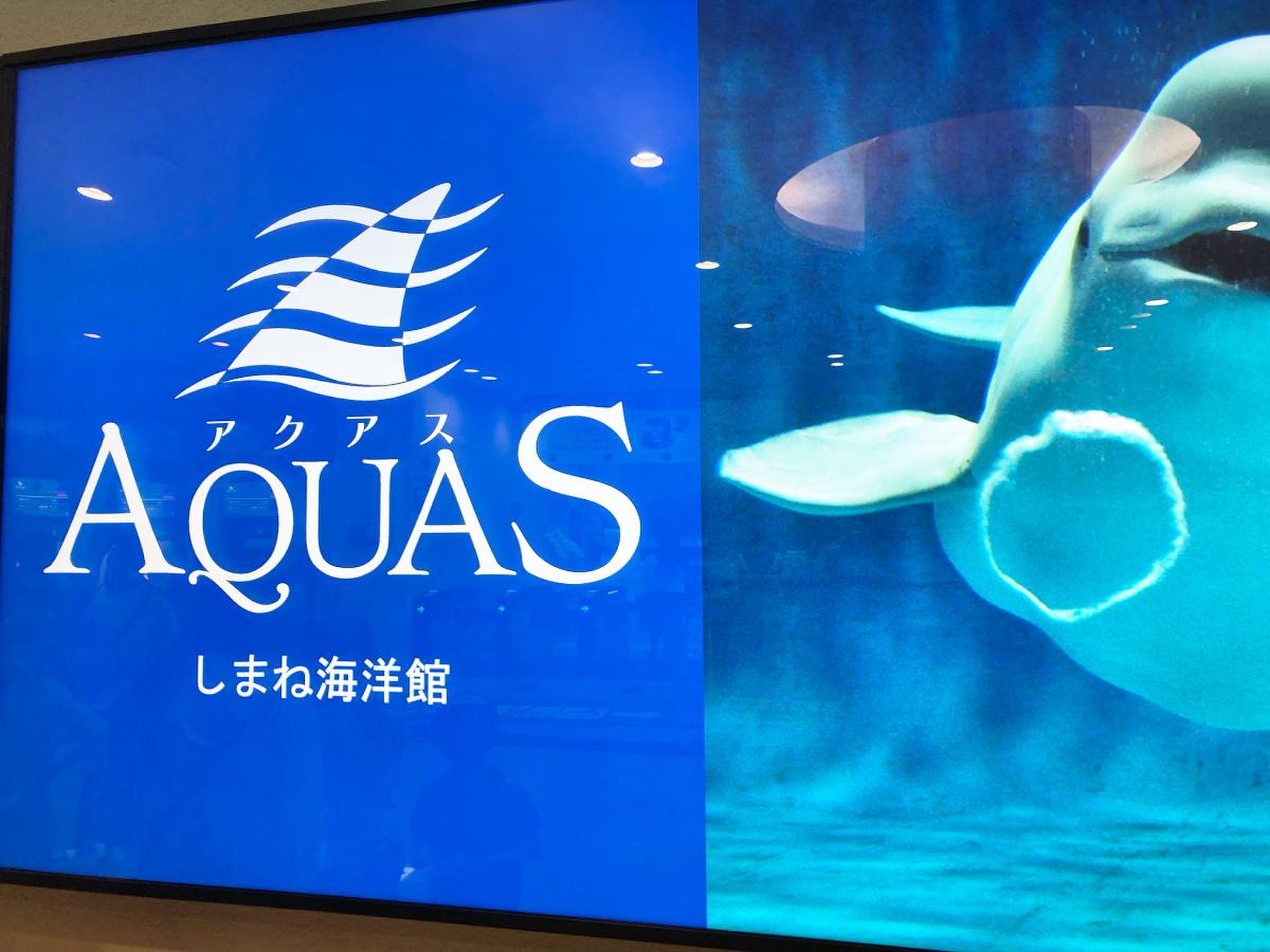 しまね海洋館アクアス／ホームメイト