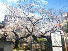 芝浦メカトロニクス株式会社