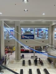 ヤマダ電機　テックランド菊陽店