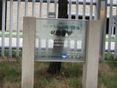 新潟県スポーツ公園