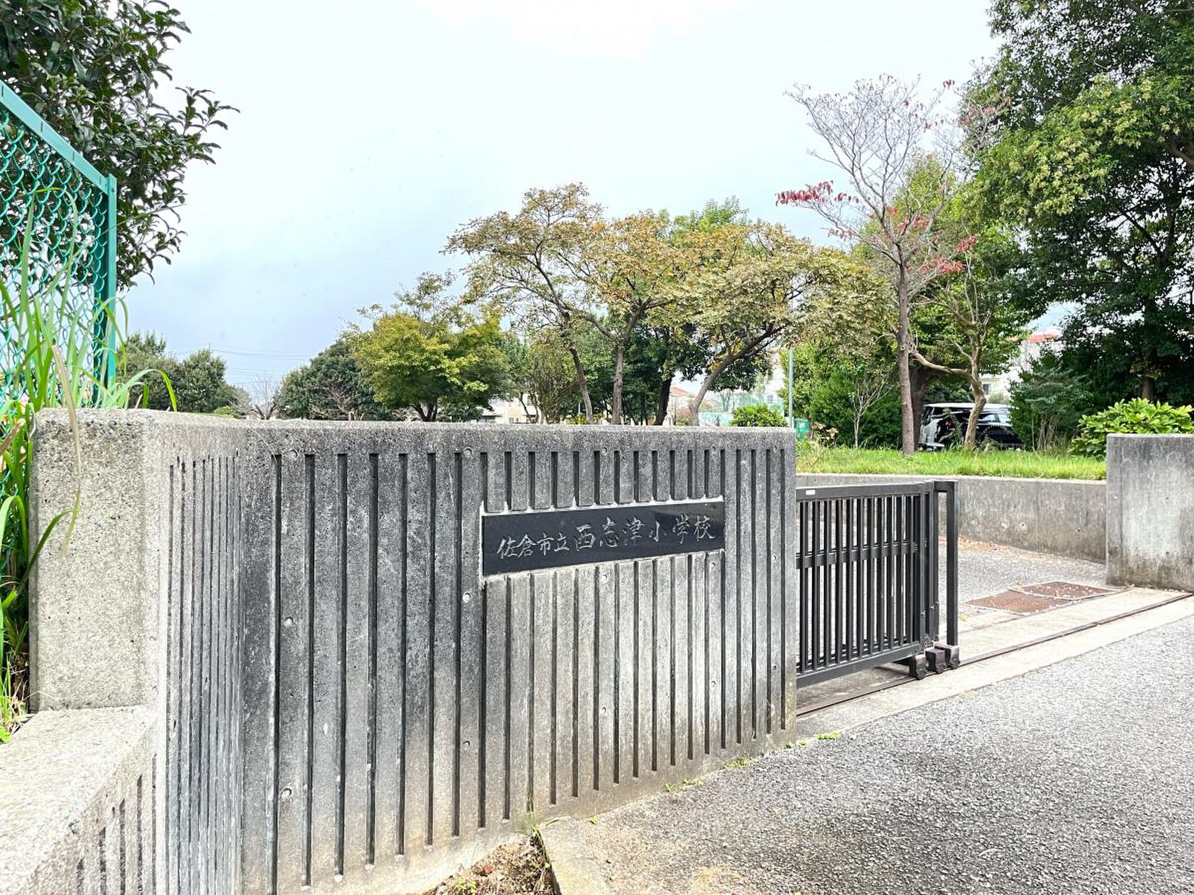 佐倉 市立 西 志津 小学校