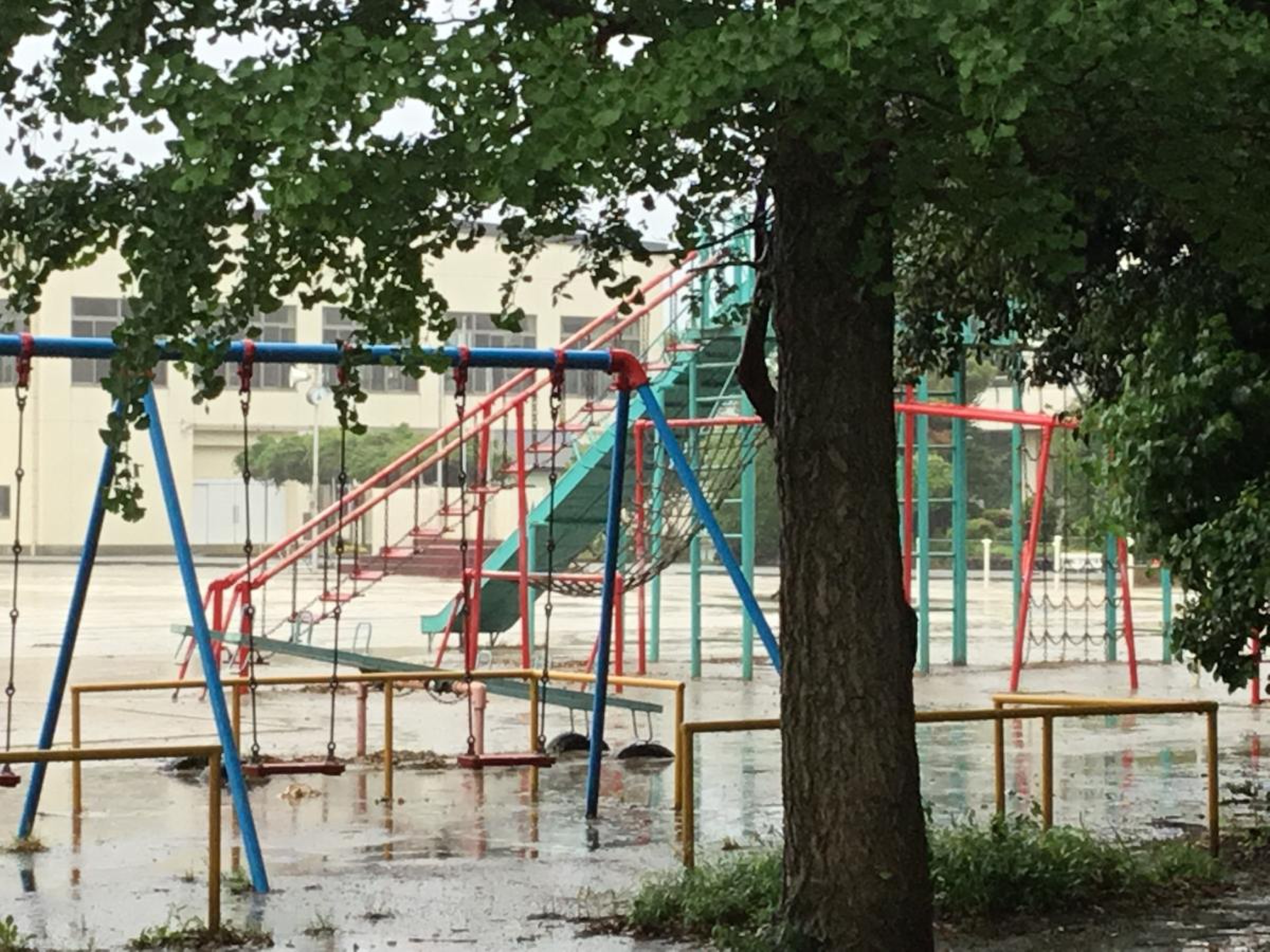 佐倉 市立 西 志津 小学校