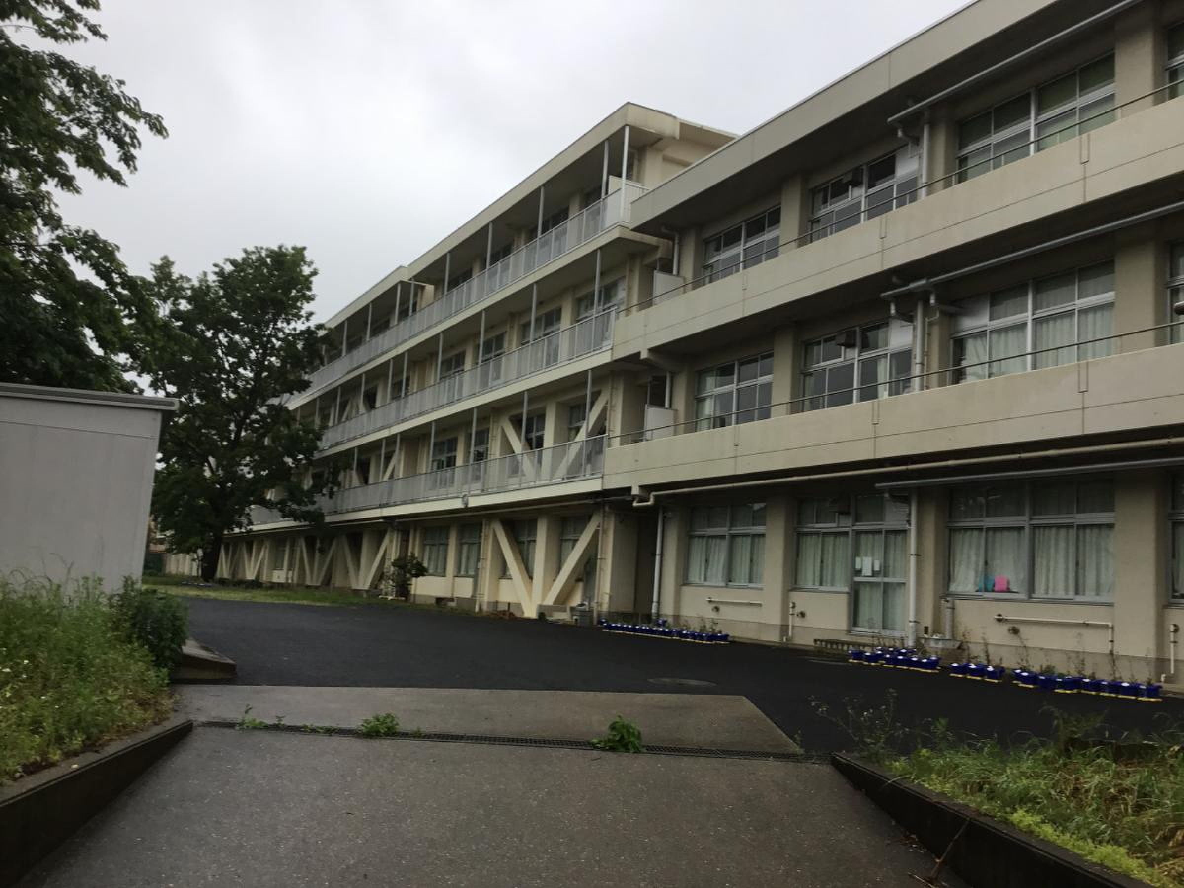 佐倉 市立 西 志津 小学校