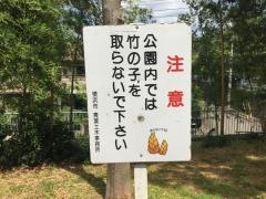 泉天ケ谷公園