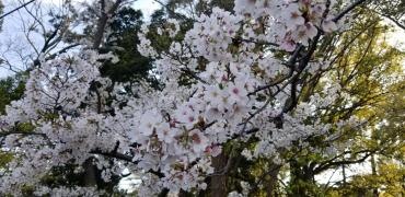 西浜公園