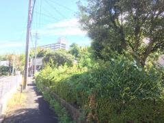 稲永新田街園