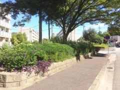 稲永新田街園