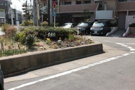 幡野街園