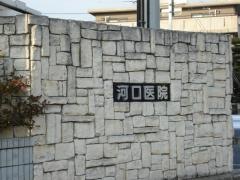 河口医院