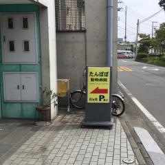たんぽぽ動物病院