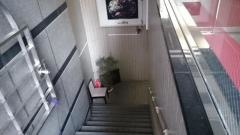三田竹若_雰囲気