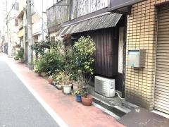 野風