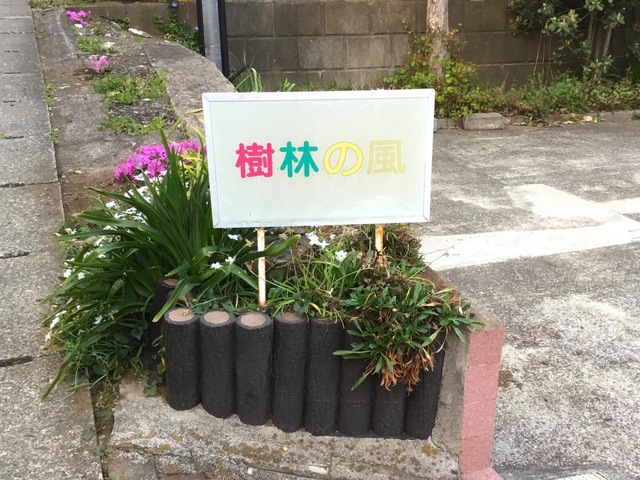 樹林の風 看板