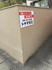 トヤマゼミ