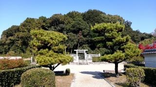 平城天皇　楊梅陵