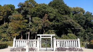 平城天皇　楊梅陵