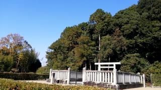 平城天皇　楊梅陵