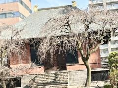 善性寺