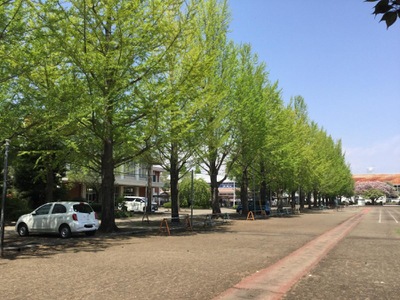 スタディピア 宇都宮中央女子高校 ホームメイト