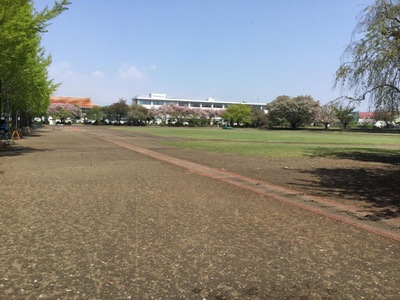 スタディピア 宇都宮中央女子高校 ホームメイト