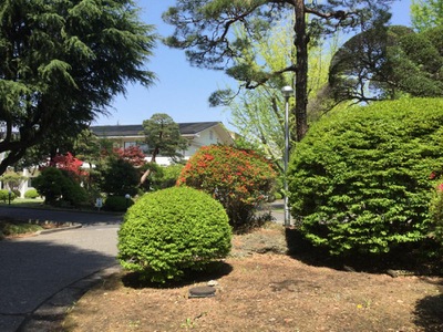 スタディピア 宇都宮中央女子高校 ホームメイト