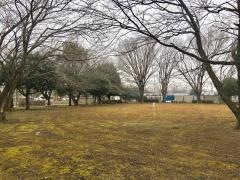 新利根緑地