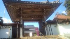 康国寺庭園