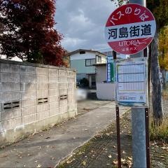 「河島街道」バス停留所