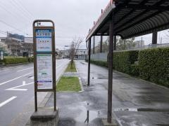 「東京学館前」バス停留所